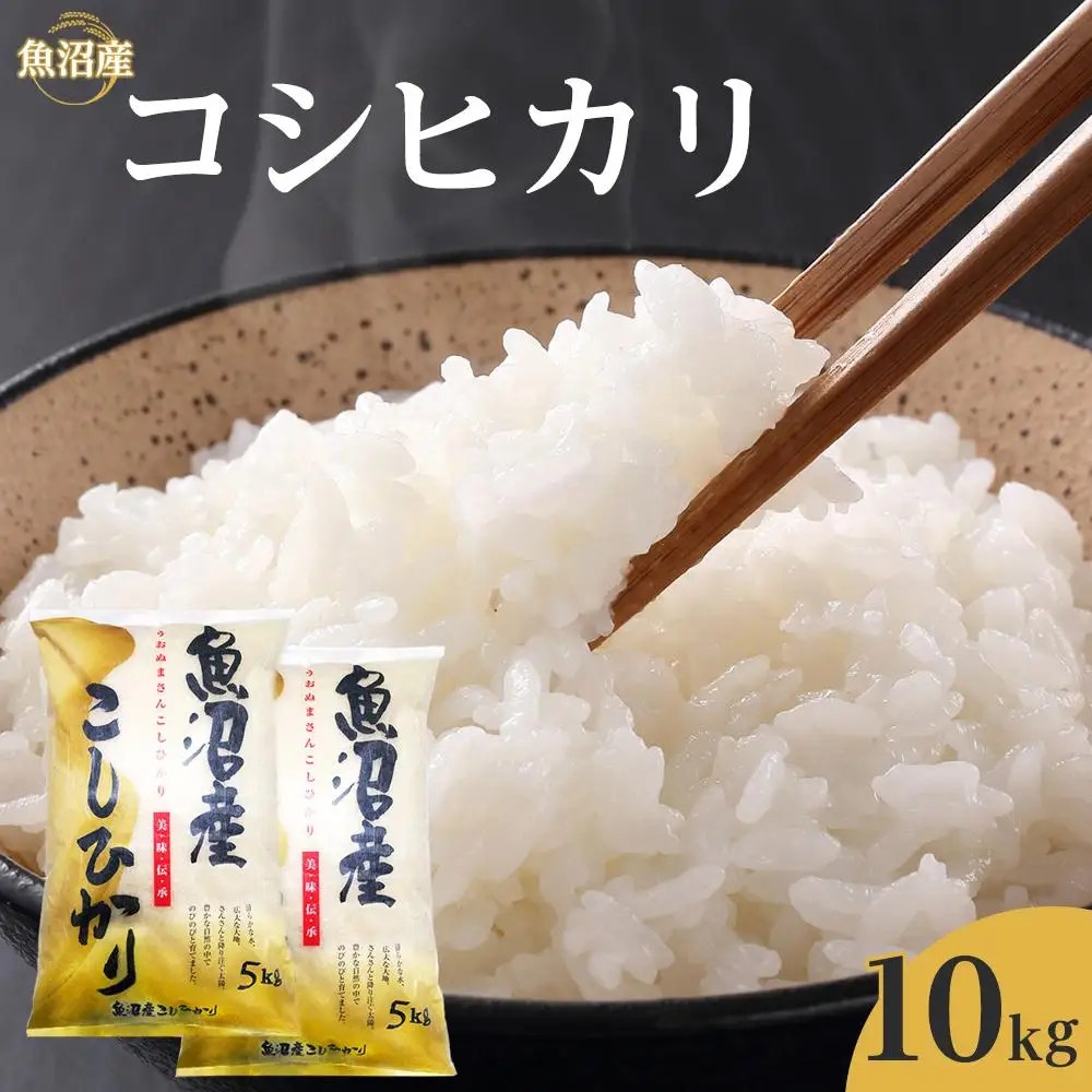 令和７年産魚沼産コシヒカリ　10kg　ご入金確認後～7日程で発送致します。｜新潟県　魚沼　こしひかり　令和7年産