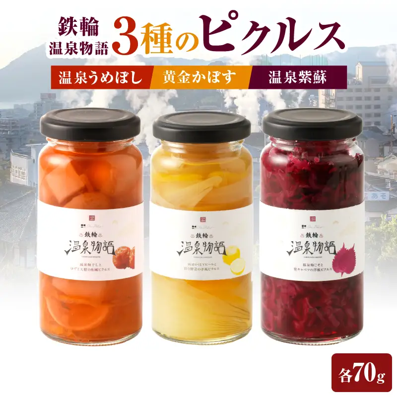 鉄輪温泉物語　３種のピクルス＿B009-009