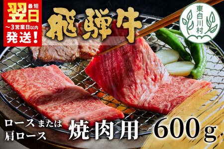 【最短発送】 飛騨牛 ロースまたは肩ロース 焼肉用 600g 牛肉 和牛 肉 焼肉 BBQ ロース カタロース 肩ロース 東白川村 岐阜 贅沢 霜降り 養老ミート 20000円