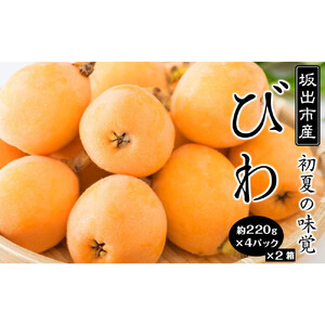 びわ 坂出市産 約1.8kg ( 4パック× 2箱 )｜初夏の味覚