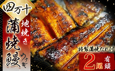 四万十地焼き蒲焼鰻 （2尾セット） うなぎ たれ付 鰻 ／Esg-19