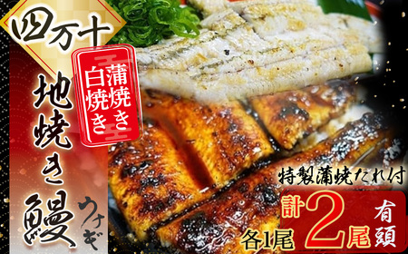 四万十地焼き鰻 蒲焼＆白焼セット（２尾） 高知うなぎ 国産 冷凍 四万十 土用の丑の日 ／Esg-20