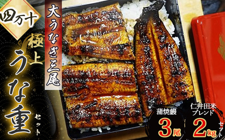 ドドドンと大うなぎ３尾！四万十の極上うな重セット ／Esg-A24 うなぎ蒲焼 高知 国産 冷凍 四万十 土用の丑の日