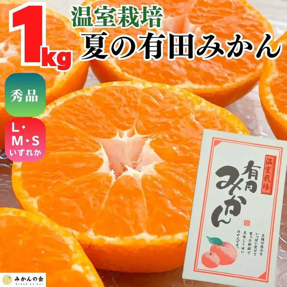 【5月出荷予定】ハウスみかん 温室栽培 夏の有田みかん 1kg 秀品 S・M・Lサイズのいずれか 和歌山県 産地直送 みかんの会