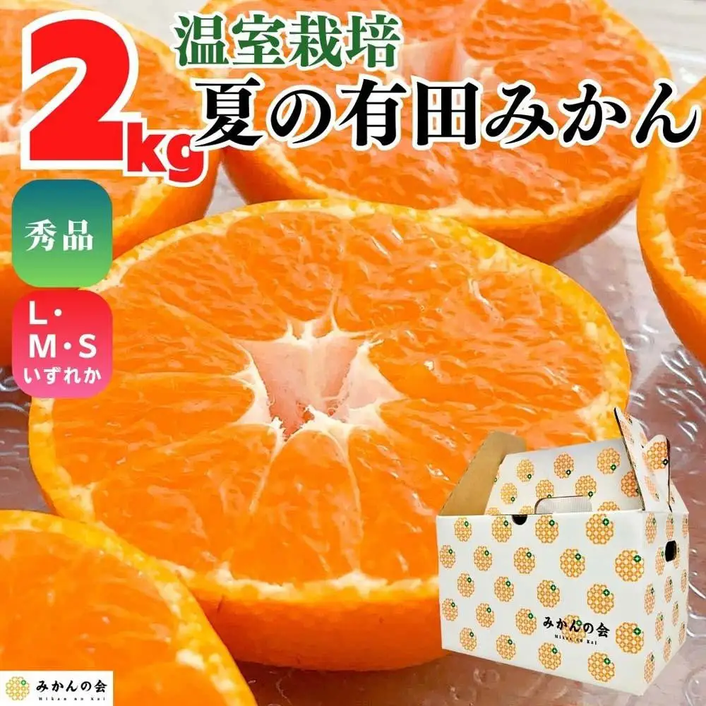 【5月出荷予定】ハウスみかん 温室栽培 夏の有田みかん 2kg 秀品 S・M・Lサイズのいずれか  和歌山県 産地直送 みかんの会