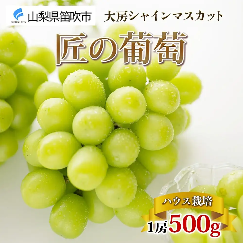 【2026年発送★先行予約】ハウス シャインマスカット 秀品 匠の葡萄 1房 500g前後※クール便配送 177-014-26y