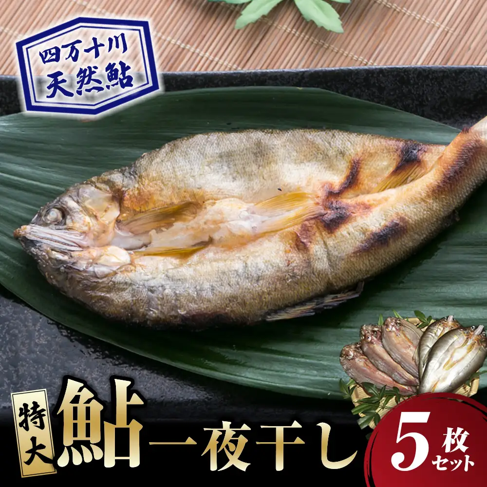 【四万十川の天然鮎】特大サイズ一夜干し5枚セット ／Esg-A27 あゆ アユ 鮎 川魚 あゆの塩焼き