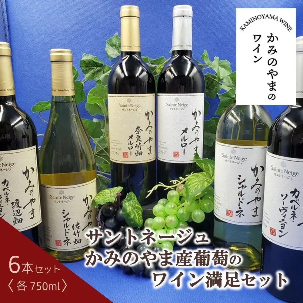 サントネージュかみのやま産葡萄のワイン満足セット（７５０ｍｌ×６本）　0141-2615
