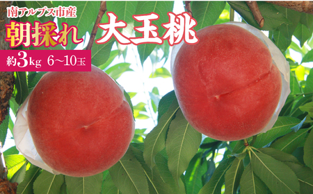 ＜2026年発送先行予約＞厳選！南アルプス市産　朝採れ大玉桃　約3kg（6～10玉） ALPDD005
