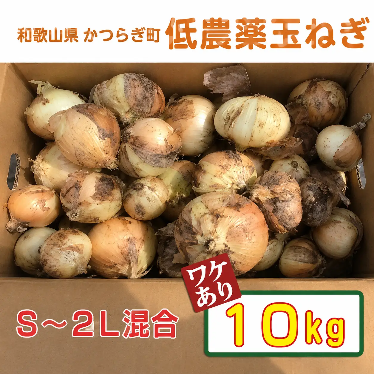 【2026年発送分・先行予約】【訳あり】農家さん直送　低農薬玉ねぎ　約10kg　S～2L混合 【ご家庭用※傷有り】【2026年4月中旬～7月中旬発送予定】【A220-frks116】