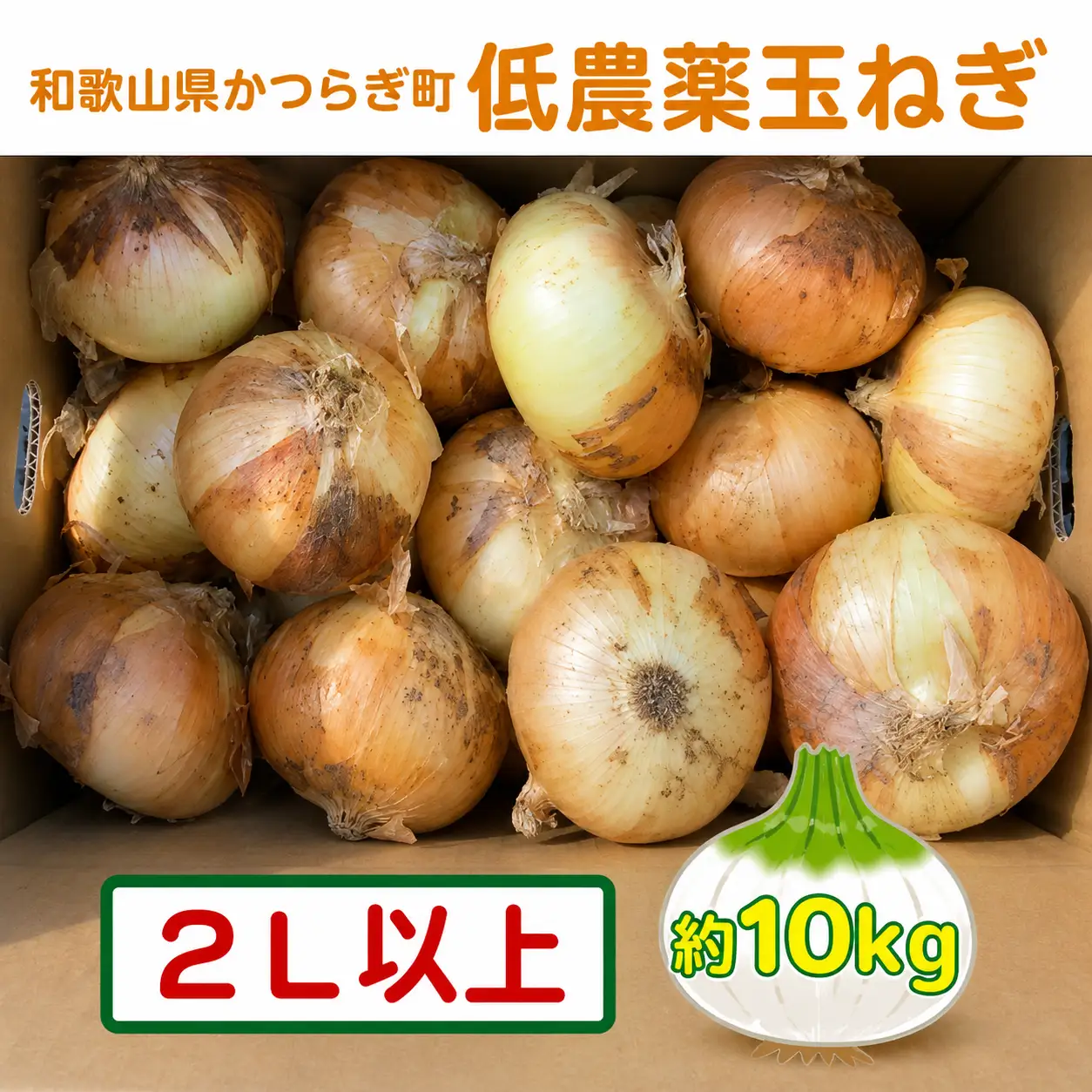 【2026年発送分・先行予約】農家さん直送　低農薬玉ねぎ2Lサイズ以上　約10kg【2026年4月中旬～7月中旬発送予定】【A221-frks117】