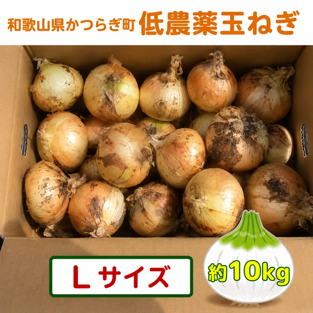 【2026年発送分・先行予約】農家さん直送　低農薬玉ねぎLサイズ　約10kg【2026年4月中旬～7月中旬発送予定】【A222-frks118】