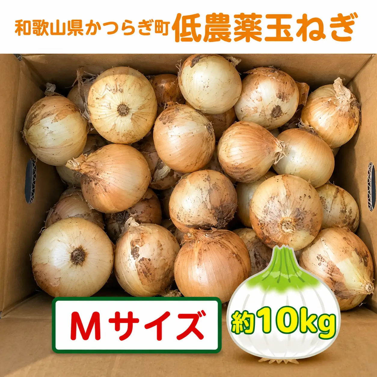 【2026年発送分・先行予約】農家さん直送　低農薬玉ねぎMサイズ　約10kg【2026年4月中旬～7月中旬発送予定】【A223-frks119】