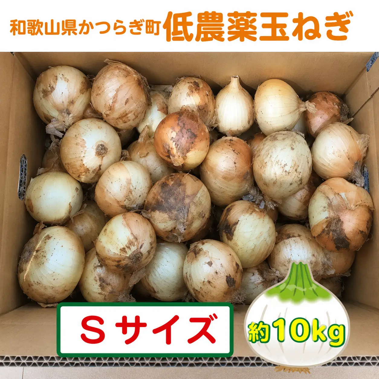 【2026年発送分・先行予約】農家さん直送　低農薬玉ねぎSサイズ　約10kg【2026年4月中旬～7月中旬発送予定】【A224-frks120】
