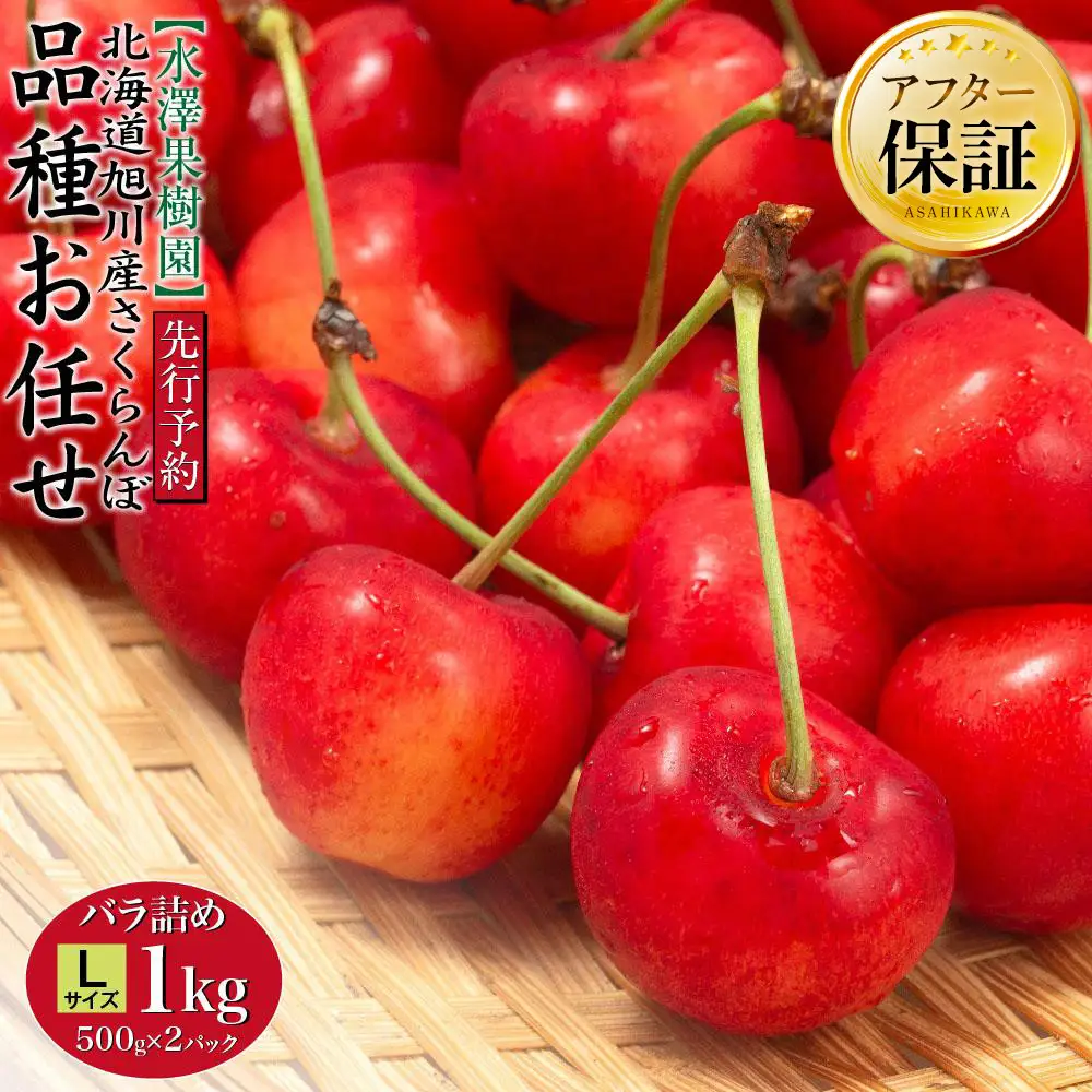 【先行予約】農家直送！ 品種お任せ  Lサイズ バラ詰め1kg（500g×2）（2026年6月末から）水澤果樹園 | さくらんぼ さくらんぼ_01179
