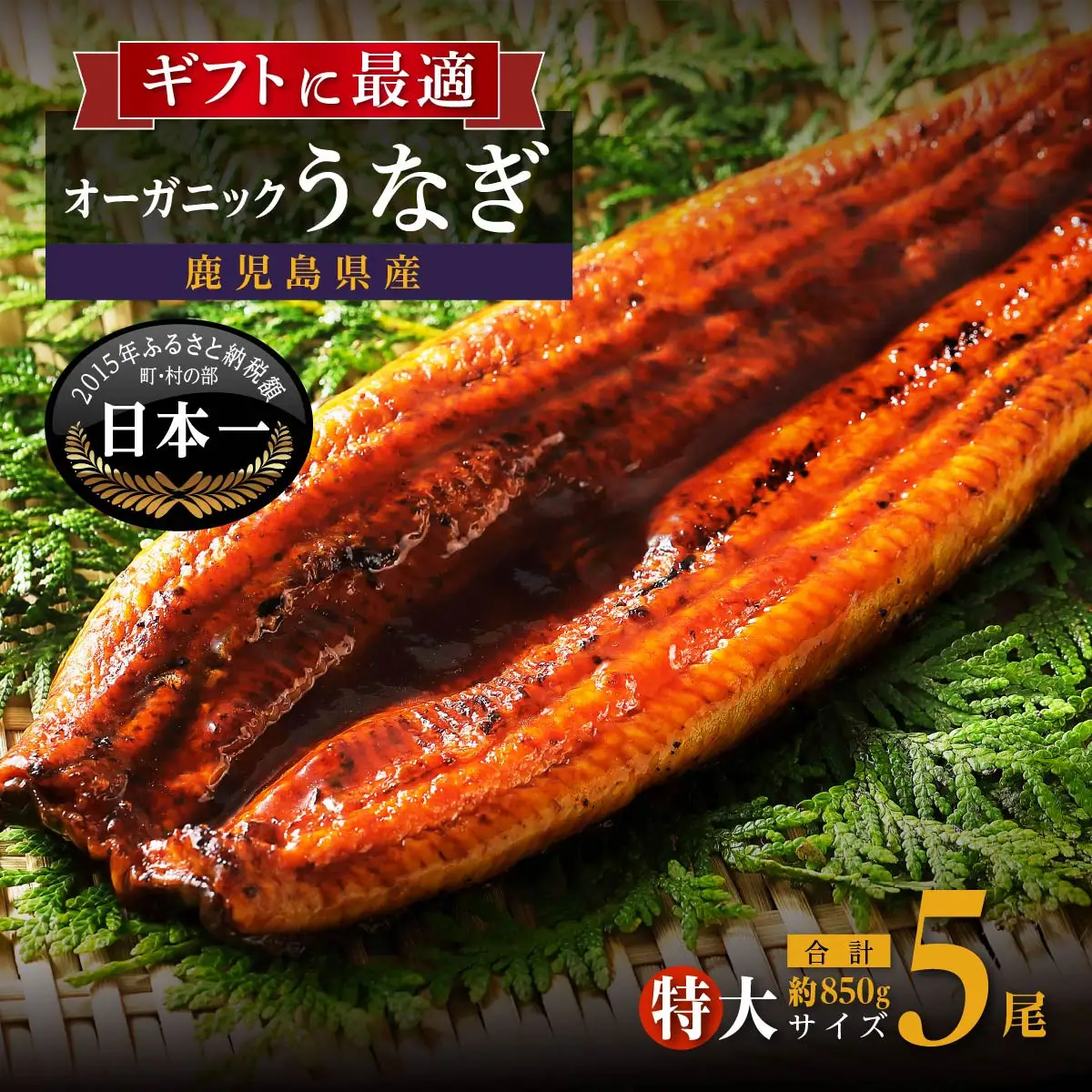 泰正オーガニック うなぎ 蒲焼　特大5尾  | うなぎ
