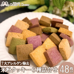 パティスリークーラクー ｜ 卵、乳製品、小麦、白砂糖不使用　彩の米粉クッキー6種詰め合わせ【11100-0366】