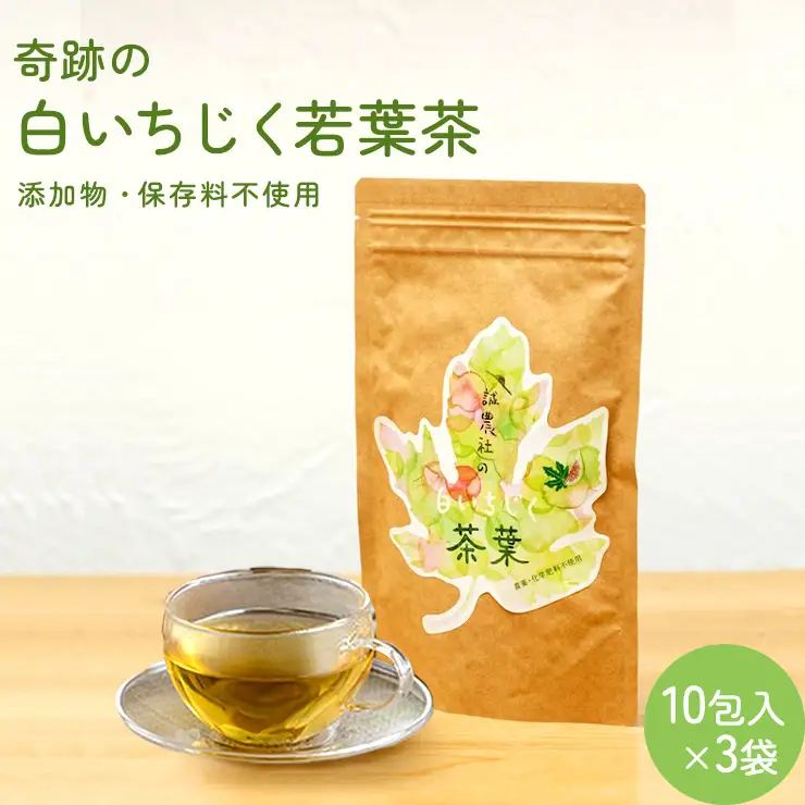 白いちじく茶（３袋）/農薬・化学肥料不使用/ファーストフラッシュ	いちじく																															 																																			