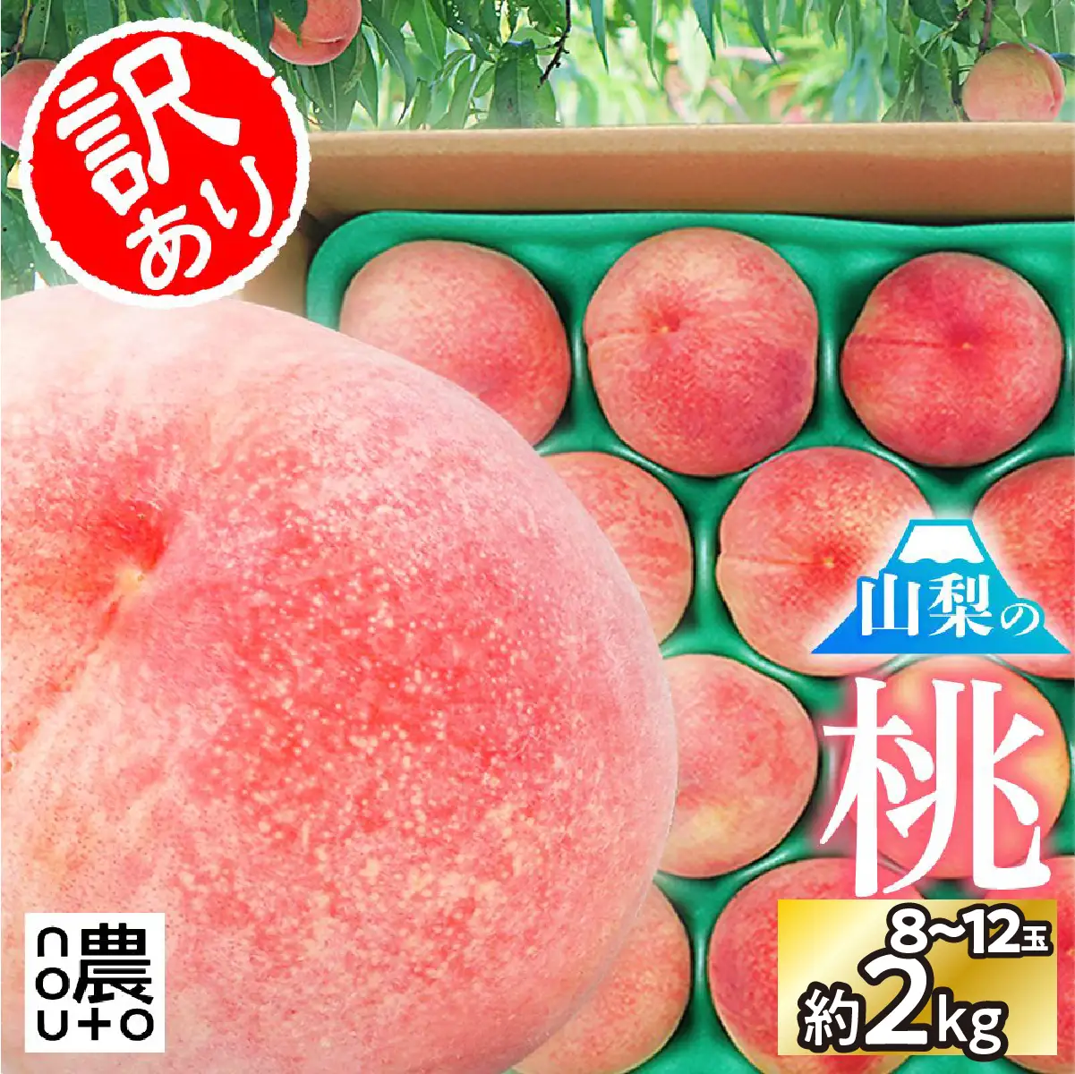 【2026年発送★先行予約】日本一の生産量 山梨県産 桃 訳あり 不揃い 大容量 8玉～12玉 約2kg ※クール便 | 桃 もも 秀品 高評価 人気 ランキング おすすめ コスパ 甘い 高糖度 美味しい デザート 数量限定 送料無料 産地直送 山梨県産 「販売」KEIPE株式会社 154-031-26y