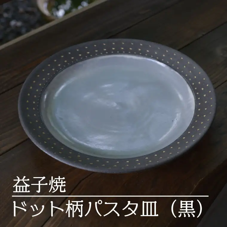 益子焼 パスタ皿 ドット柄 黒 益子町 AS004-2
