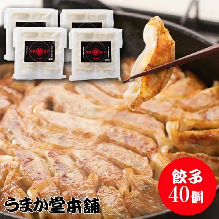 博多鉄なべ餃子 10個×4 計40個 / うまか堂本舗 / 福岡県 筑紫野市 [21760420]