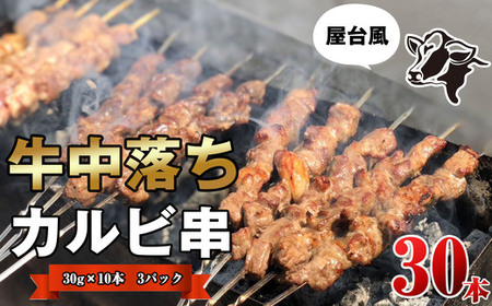 牛肉 中落ち カルビ 串 30本 | カルビ アウトドア キャンプ BBQ