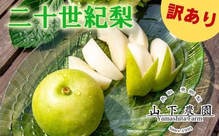 梨 訳あり ご家庭用 二十世紀 5kg 鳥取県産 湯梨浜 東郷名産 | 9M