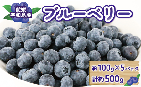 ブルーベリー500g マスタニ農園 ベリー F014-136001