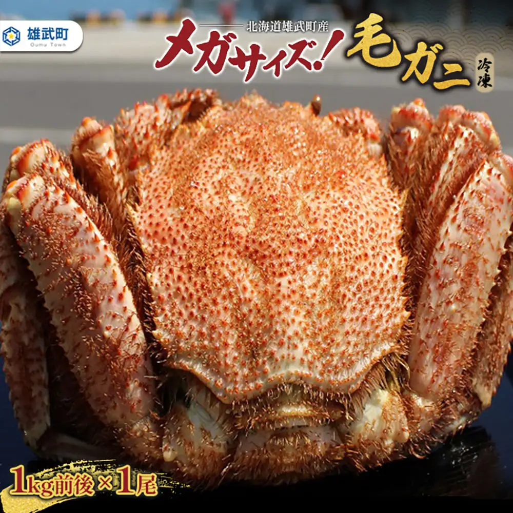 北海道雄武町産メガサイズ！毛ガニ(冷凍)1kg前後×1尾【1237802】