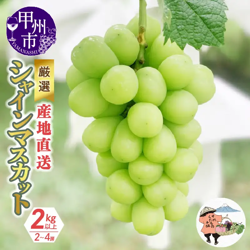 厳選！産地直送ぶどう「シャインマスカット」2kg以上（2～4房）【2026年発送】（KKH）B18-430 シャインマスカット フルーツ
