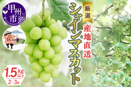 厳選！産地直送ぶどう「シャインマスカット」1.5kg以上（2～3房）【2026年発送】（KKH）B12-490 シャインマスカット フルーツ