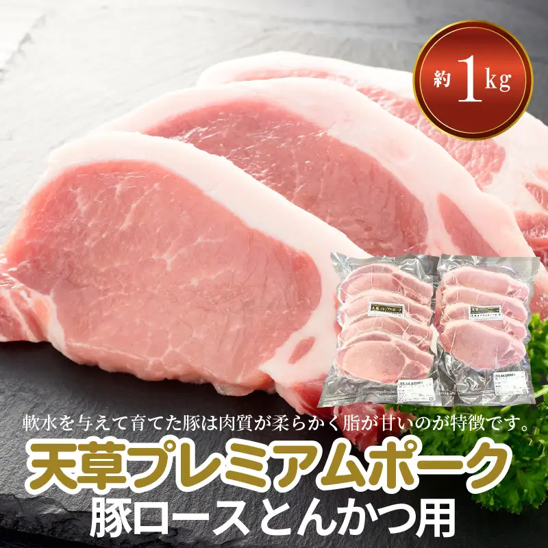 S058-020A_天草プレミアムポーク とんかつ用 ロース 8枚 約1kg