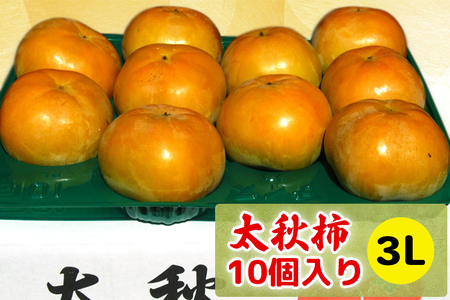 [先行予約] 令和8年産 太秋柿 3Lサイズ 10個入り《2026年10月上旬より発送予定》｜かき 太秋 フルーツ カキ 果物 くだもの 産地直送 高橋柿ファーム 岐阜県 本巣市 15000円 [mt1305_26]	