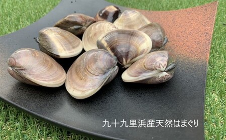 絶品九十九里の”味”天然はまぐり5kg入り within2024  魚介類 貝類 ハマグリ 蛤 