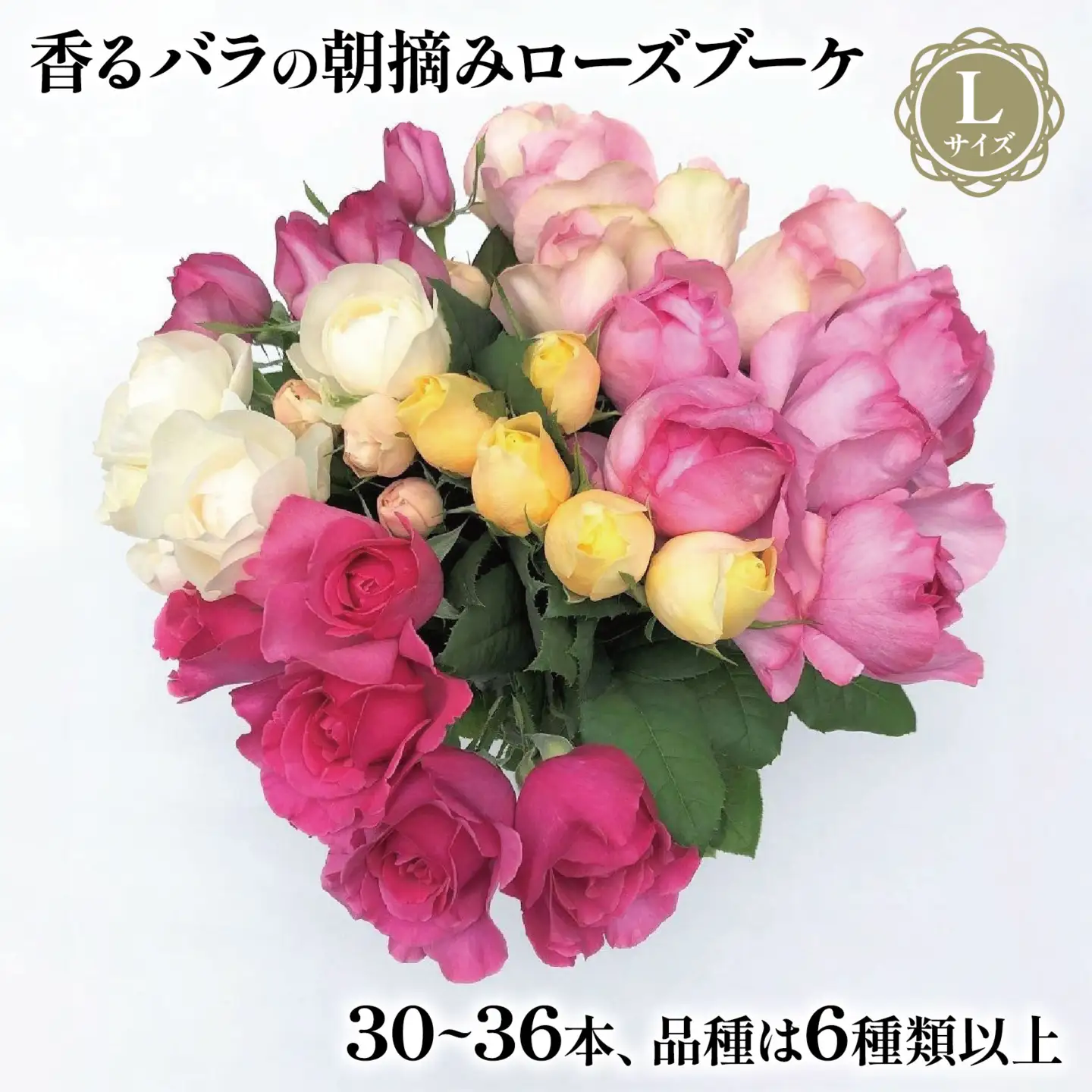 バラ 花束 ブーケ 朝摘み Lサイズ 薔薇 花  母の日 