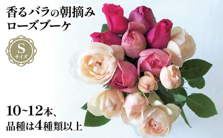 バラ 花束 ブーケ 朝摘み Sサイズ 薔薇 花 ばら 花 パフューム ローズ バラの花束 生花 ギフト 花 プレゼント | バラ バラ バラ バラ