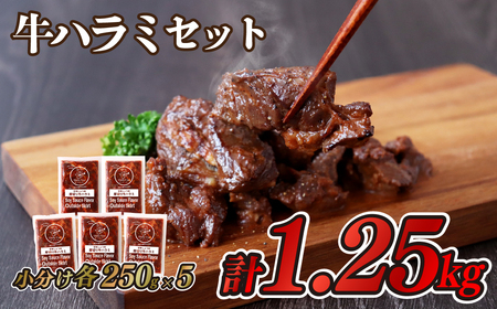 牛ハラミ 【 1.25kg 】 冷凍 小分け ハラミ E234
