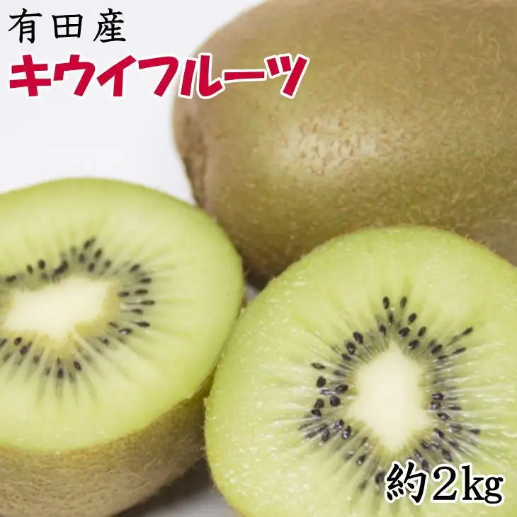 ［人気］有田産キウイフルーツ約2kg（サイズ混合）★2027年1月下旬頃より順次発送
