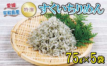 特選 ちりめん すくいちりめん 75g×5袋 計375g 愛媛県漁業協同組合宇和島支所 じゃこ ちりめんじゃこ しらす しらす干し ちりめん干し 冷蔵 人気 おつまみ 加工品 水産品 ふりかけ 弁当 おにぎり カタクチイワシ イワシ 産地直送 国産 愛媛 宇和島 D018-027004