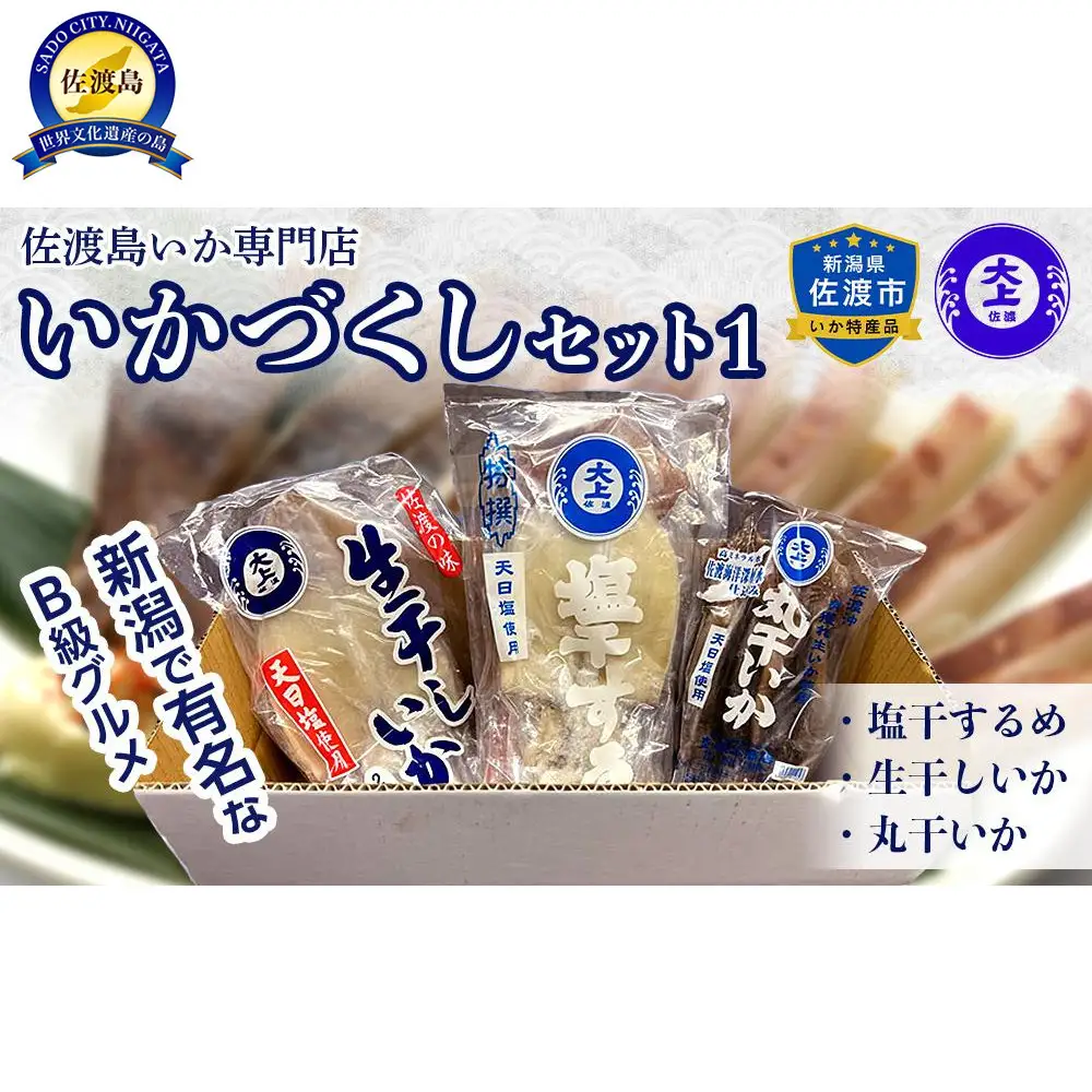 干物 イカ 佐渡沖産 3種 イカづくしセット1