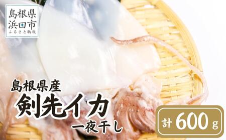 島根県産剣先イカ一夜干し 計600g（4～6枚）個包装・真空袋・ギフト 真空 個包装  干物 白イカ 保存料不使用 大容量 剣先イカ 一夜干し 【005_0119】