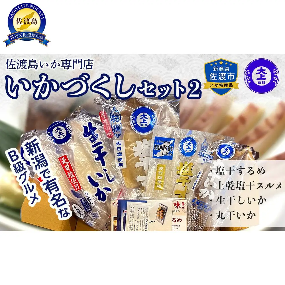 佐渡島いか専門店　いかづくしセット2