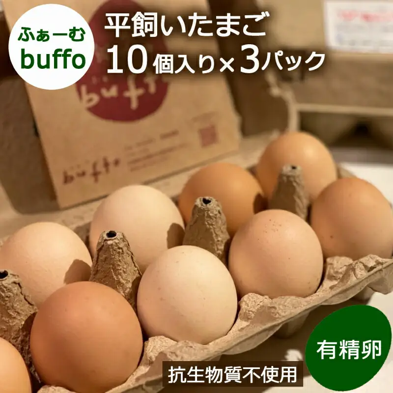 ふぁーむbuffoの平飼いたまご 30個_FA090_001