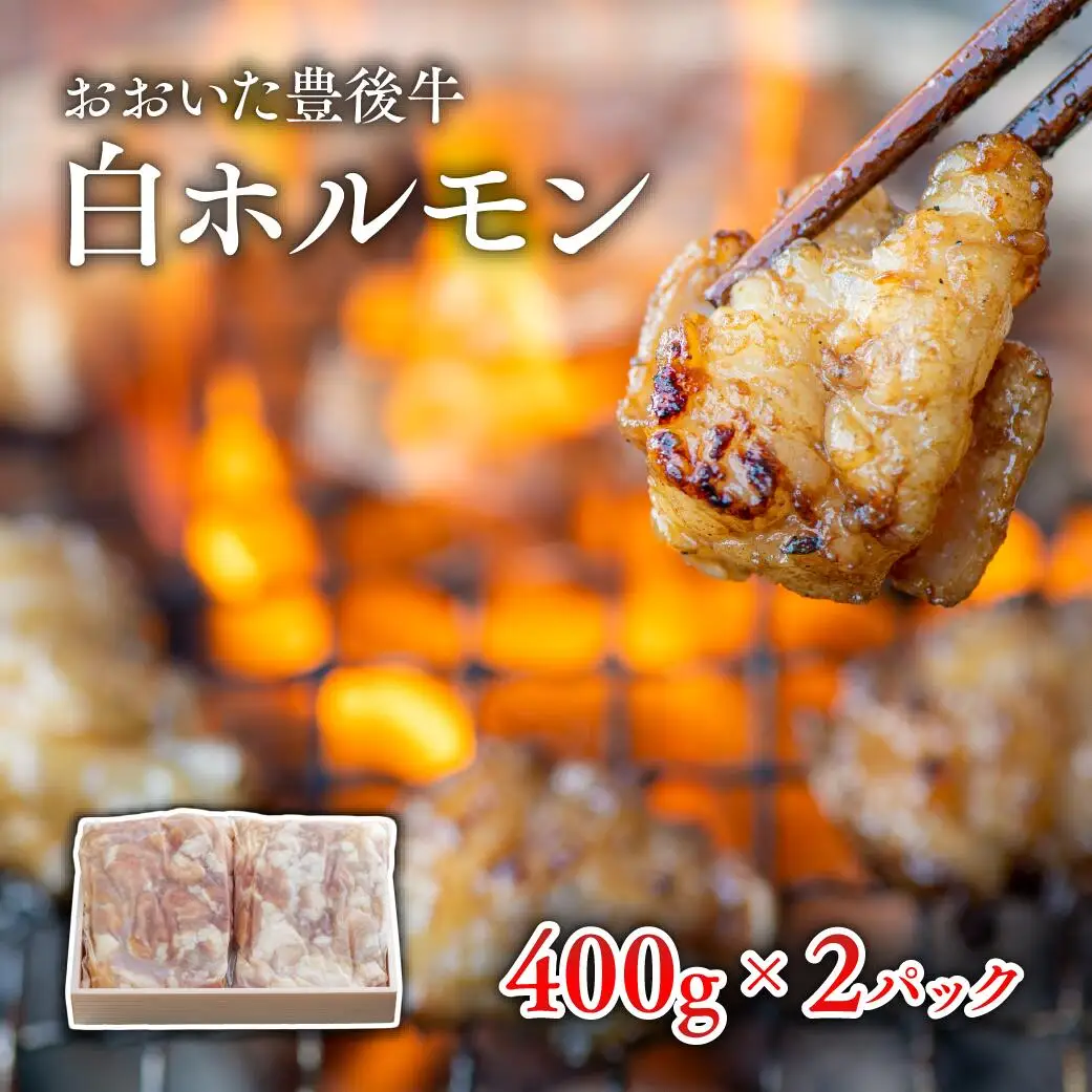おおいた豊後牛白ホルモン(400g×2P) | 豊後高田市 和牛
