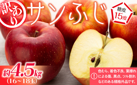 訳あり りんご サンふじ 4.5kg 16～18玉 林檎 リンゴ サンフジ さんふじ 傷 キズ 果物 くだもの フルーツ 旬の果物 旬のフルーツ 家庭用 訳アリ 信州 長野 長野県