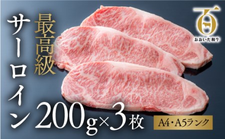 おおいた和牛 サーロイン ステーキ (200g×3枚) | 豊後高田市 ステーキ