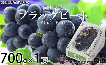ぶどう 2026年 先行予約 ブラックビート 約700g×1房