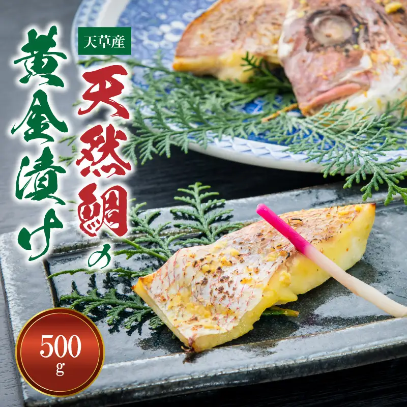 S011-019A_【天草産】天然鯛の黄金漬け 500g