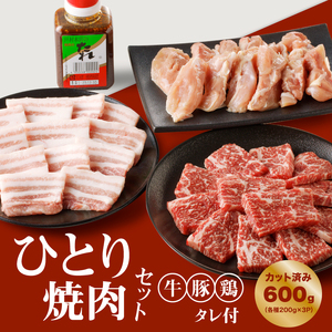 宮崎県産焼肉３種セット【タレ付き】（牛・豚・鶏） 計６００ｇ  カット済み  K16_0079_1