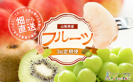 【先行受付】【3回 定期便 】山梨県産 フルーツ 『 桃 2kg & シャインマスカット 1.8kg & キウイフルーツ 1.5kg』 [ えべし 山梨県 中央市 21470867] 果物 くだもの もも マスカット キウイ 【2026年6月下旬-2027年1月下旬発送予定】